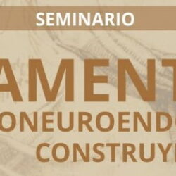 Seminario de Posgrado Acreditable  “Fundamentos en Psicoinmunoneuroendocrinología: construyendo puentes”
