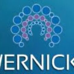 Centro Wernicke – Cursos 2018