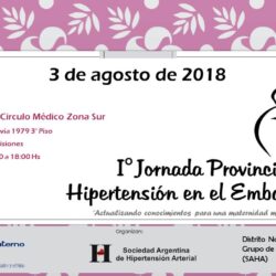I Jornadas de Hipertensión en el Embarazo
