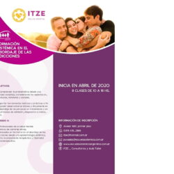 Formación Sistémica en el Abordaje de las Adicciones