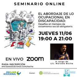 El Abordaje de lo Ocupacional en Discapacidad (Seminario Online)