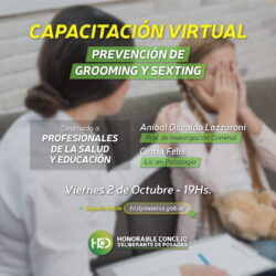 Capacitación Virtual: Prevención de Grooming y Sexting