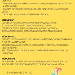 Diagnóstico y Abordaje de la Impulsividad desde lo Psiconeuroinmunoendocrinológico