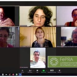 Comisión de Psicología Educacional de la FePRA