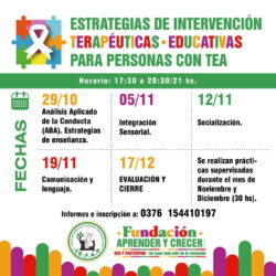 Curso: Estrategias de Intervención Terapéuticas-Educativas para personas con TEA