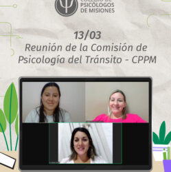 Comisión de Psicología del Tránsito | CPPM