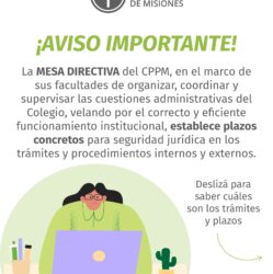 Resolución N°739 / 2025 Sobre trámites y plazos